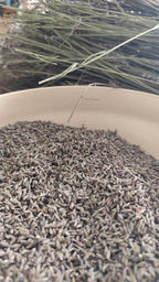 Sachet de Lavande (Lavendin) 20gr